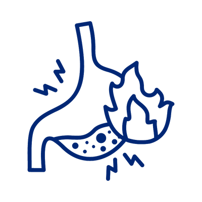 Confort digestif et gêne occasionnelle liée au reflux